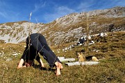 40 Pausa yoga con vista in Menna